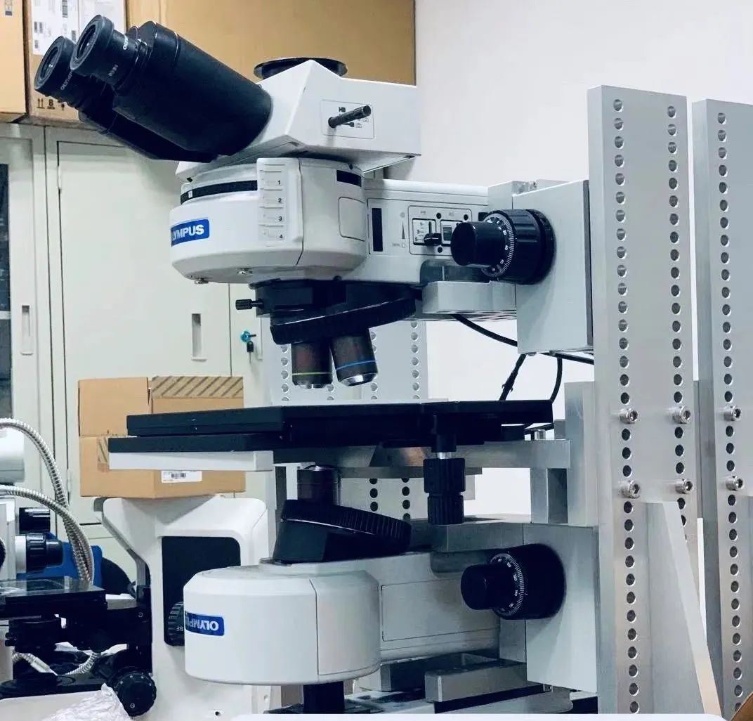 1596506937671127.jpg 微信圖片_20200804100731.jpg