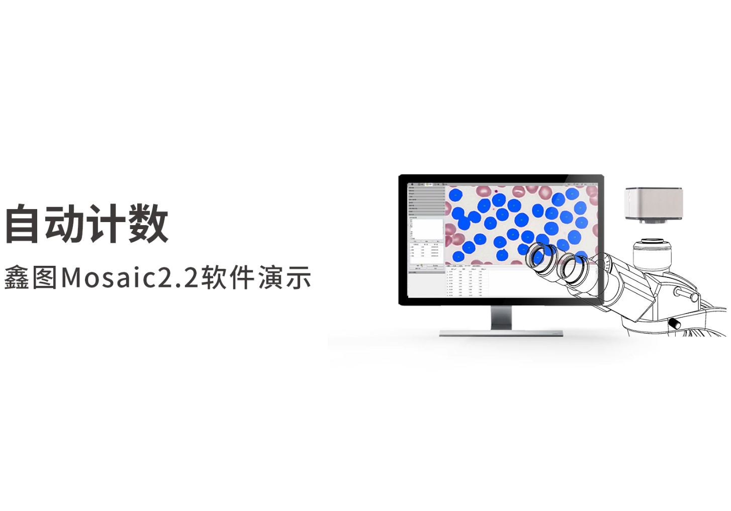 自動計數