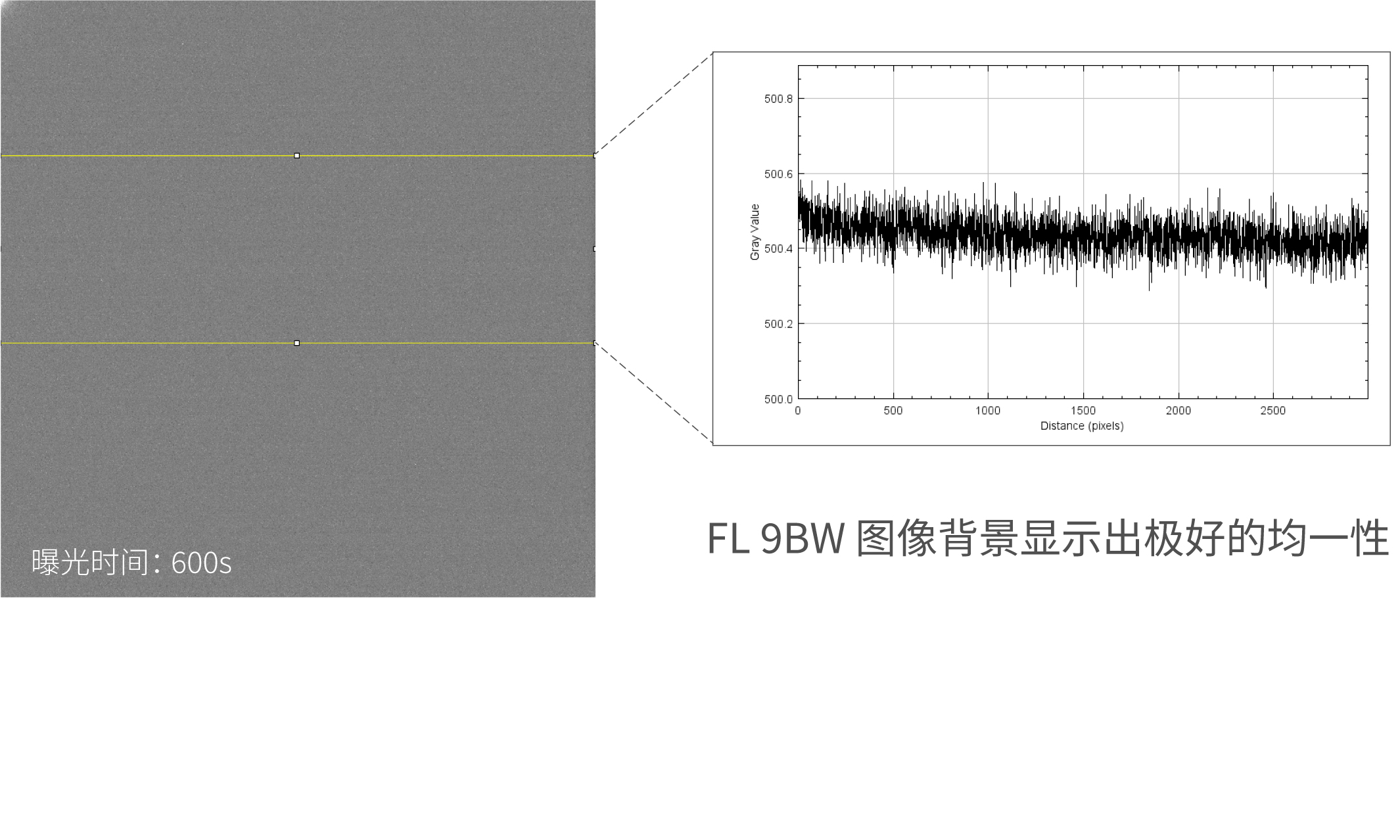 背景均一</br>定量分析更精準